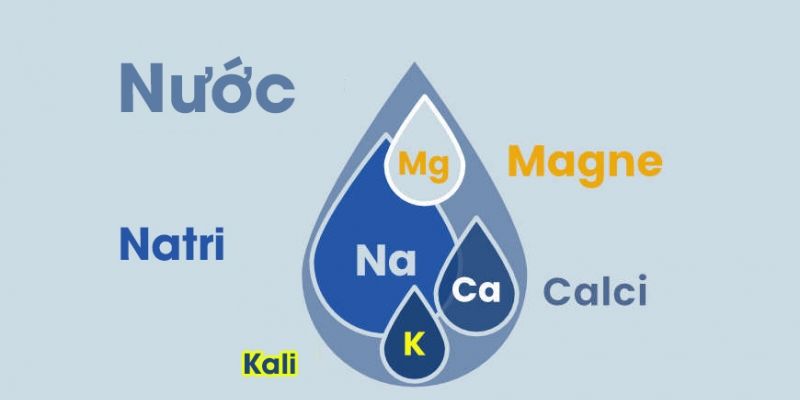 Nước điện giải trong thể thao cần chứa các ion khoáng như Natri, Kali, Magie, Canxi