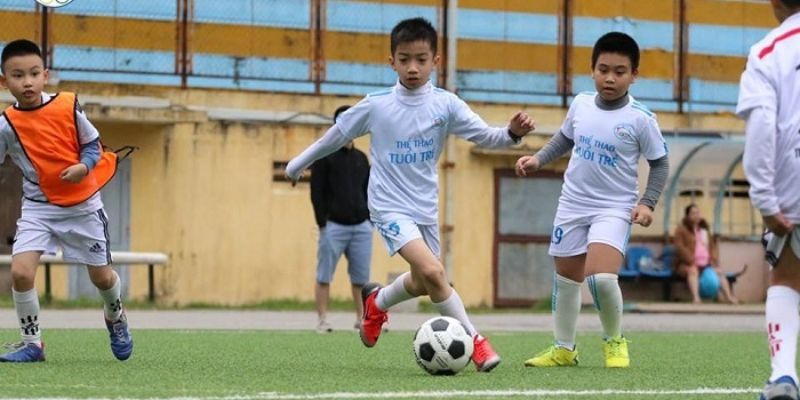 Việt Nam cũng sở hữu nhiều học viện bóng đá cho các bé nhằm tìm kiếm tài năng cho bóng đá Việt Nam